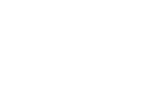 BRAVE CF BRAVE CF