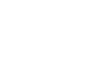 Rizin FF Rizin FF