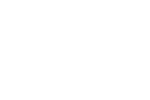 UFC UFC